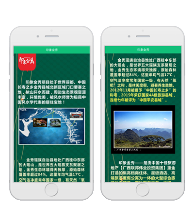 广西金秀旅游商城
